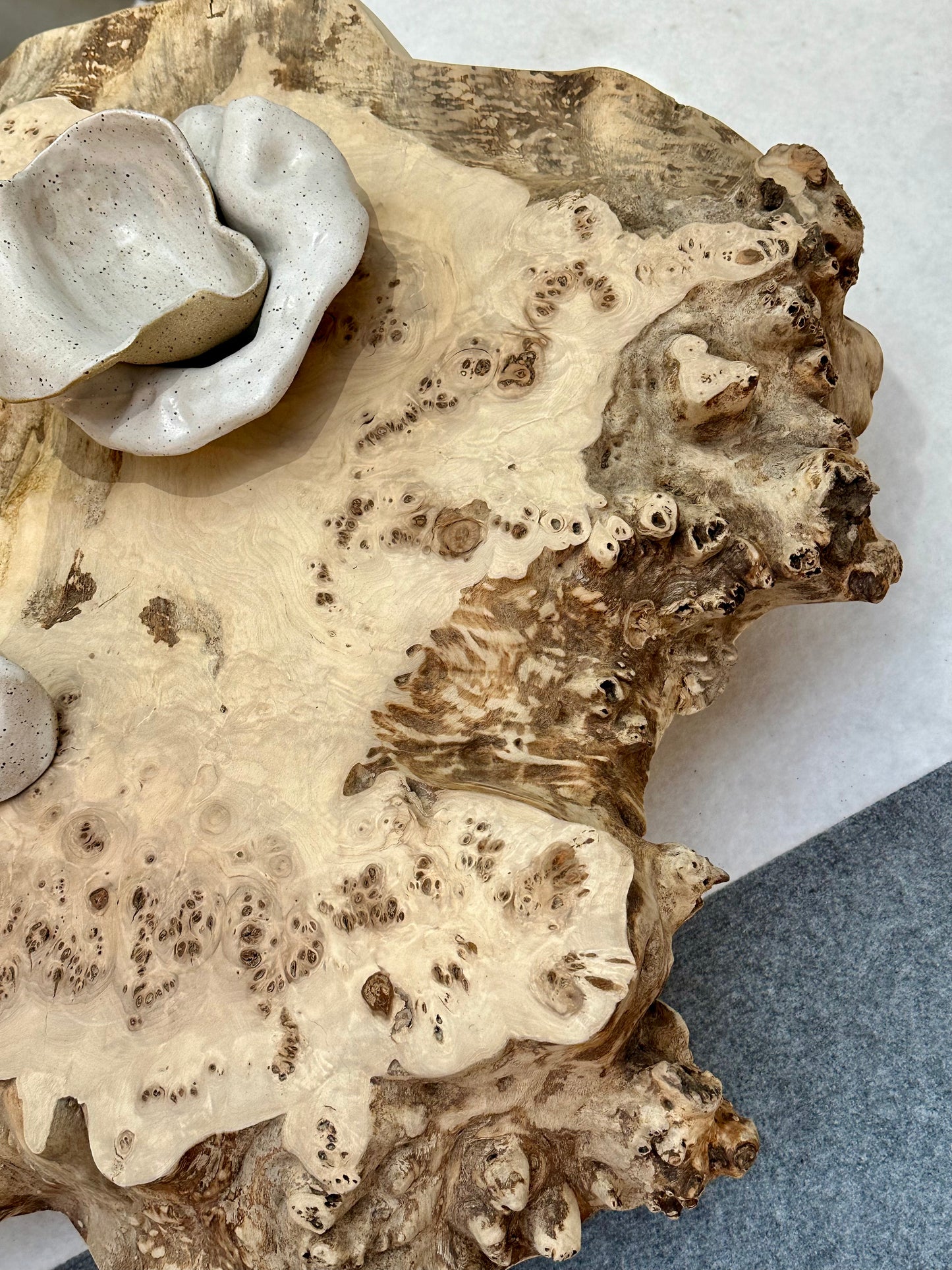 Live Edge Burr Poplar Coffee Table