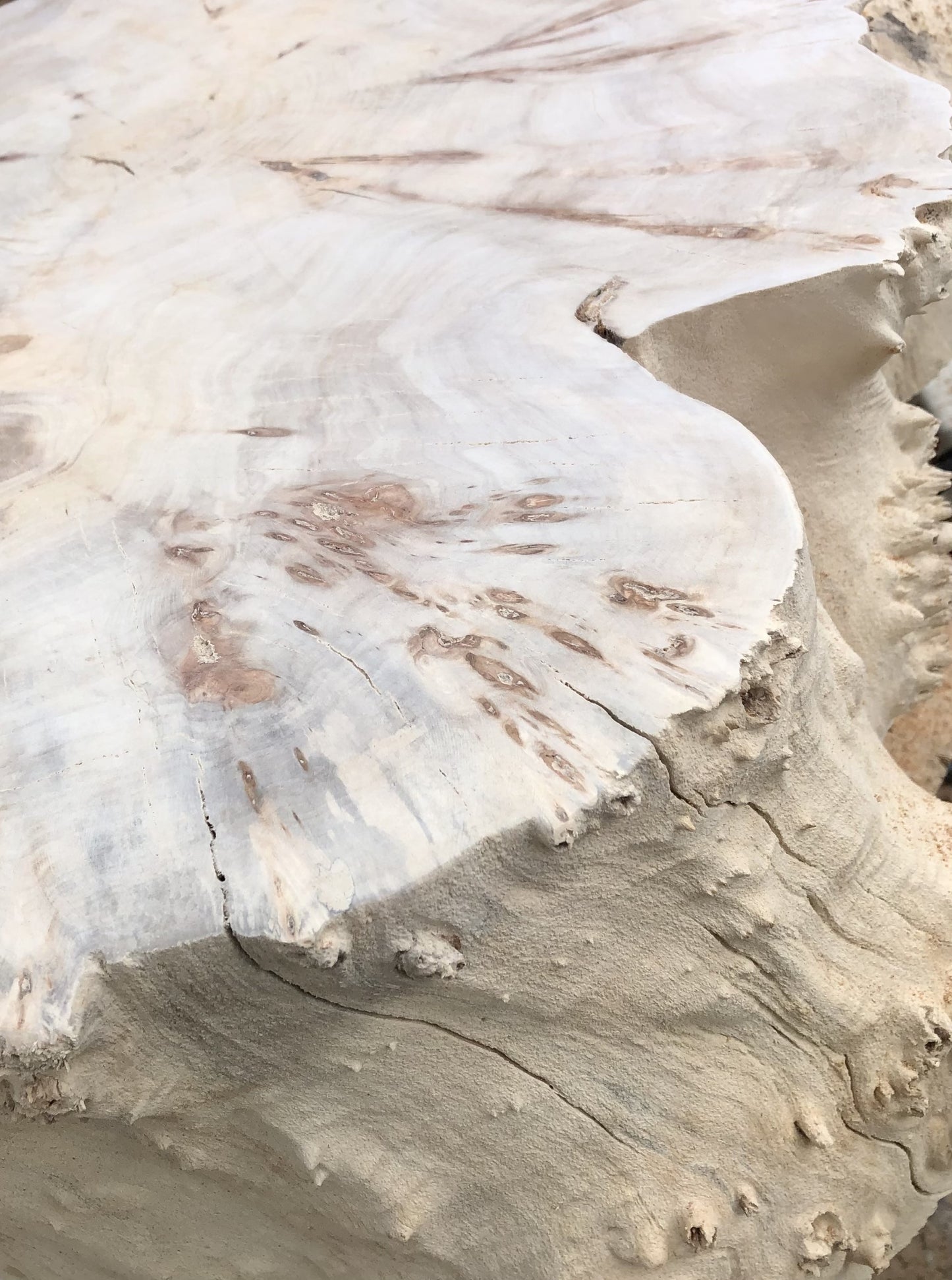 Desert Rock Coffee Table
