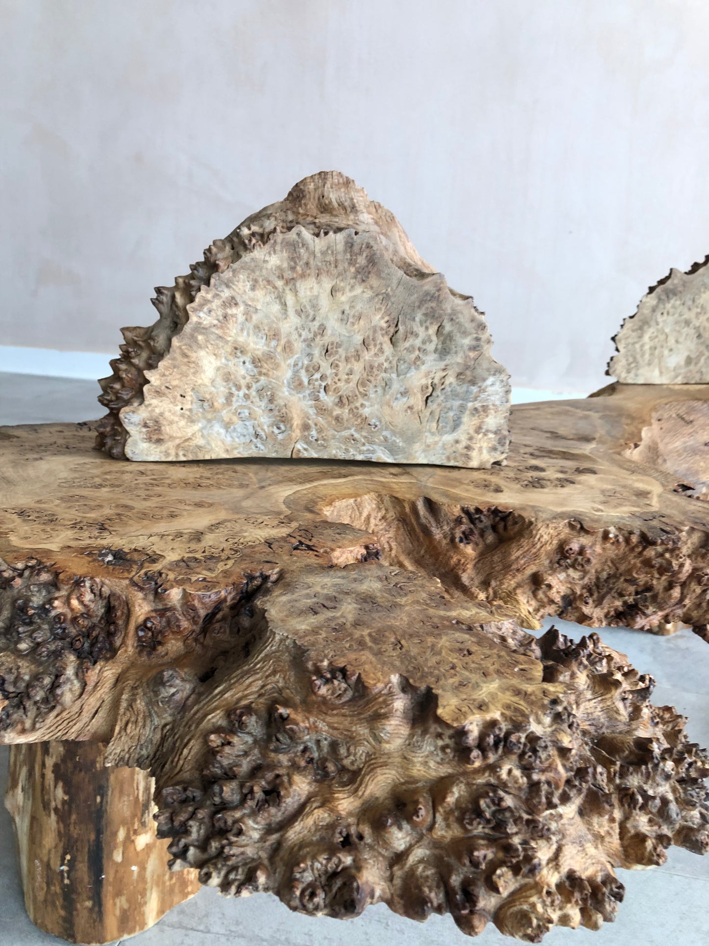 Burr Oak coffee table