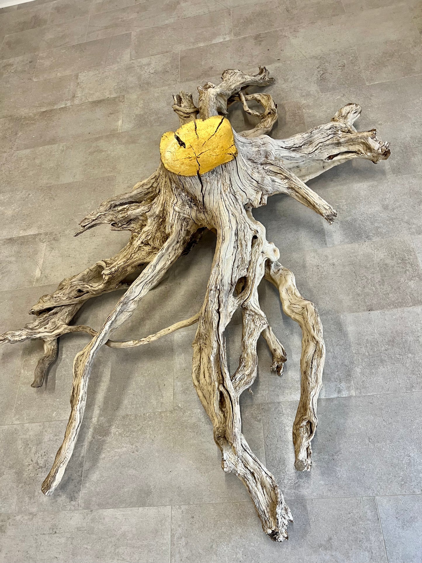 Octopus Root Sculpture