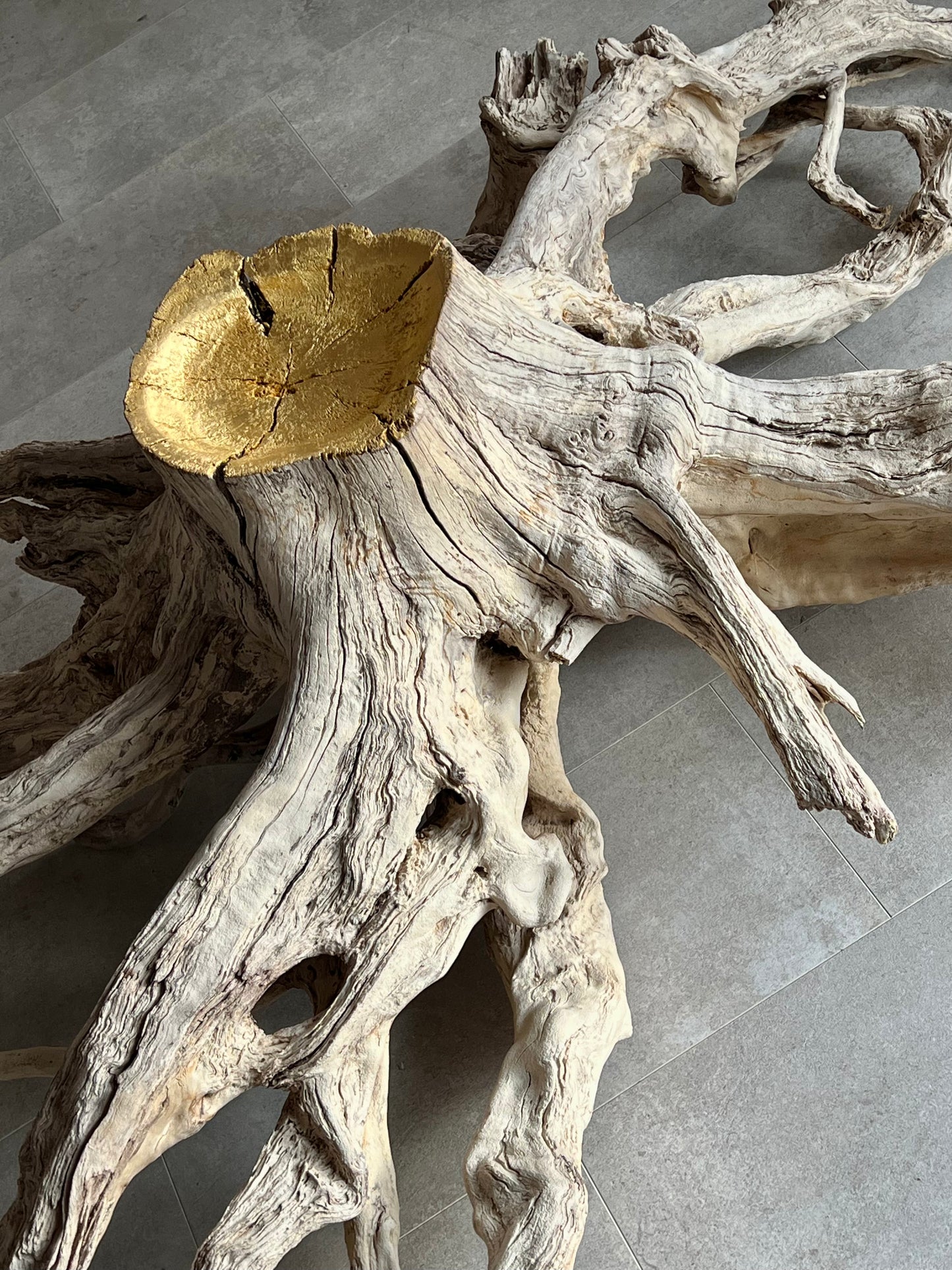 Octopus Root Sculpture