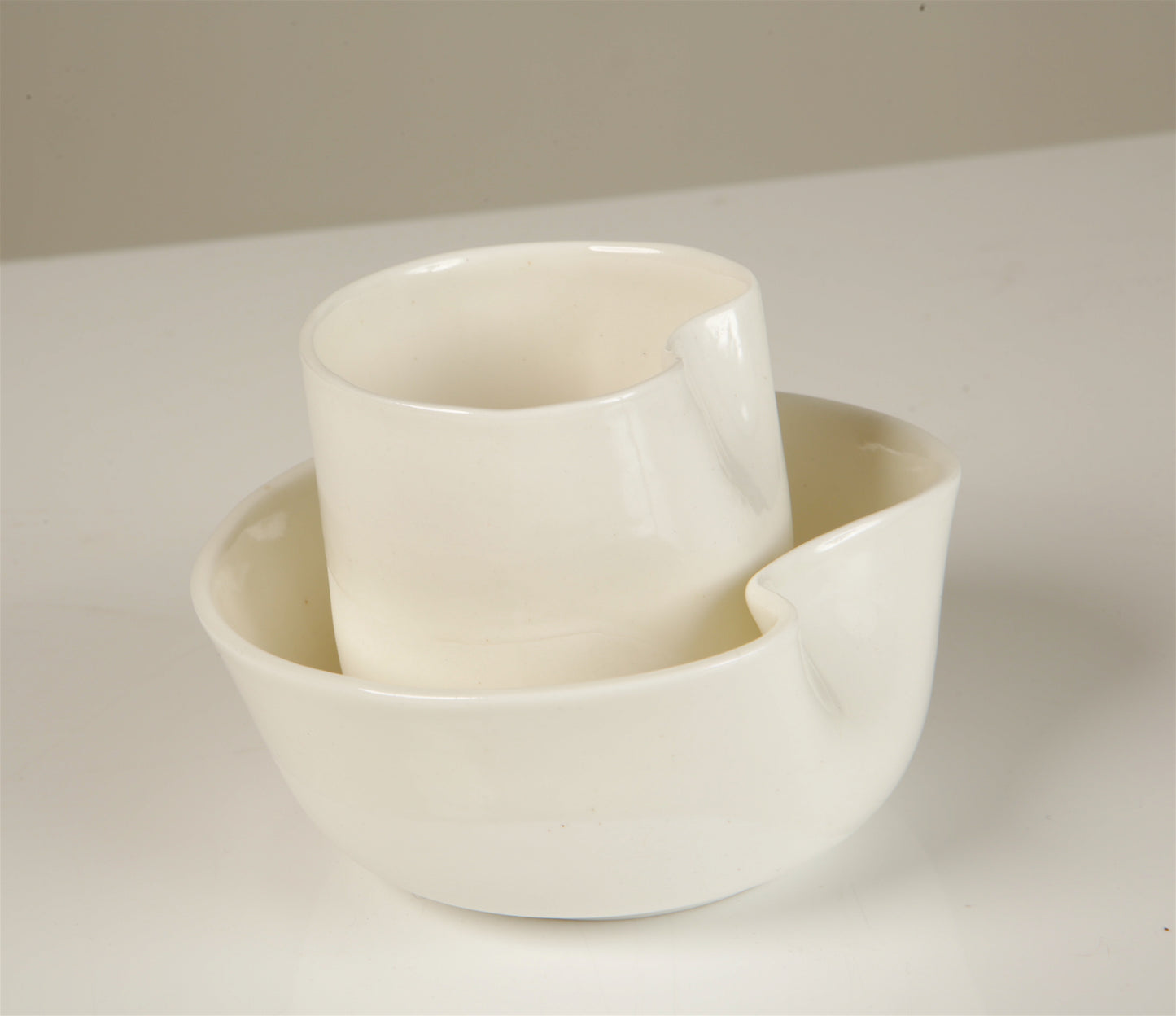Fine Bone China Bowl