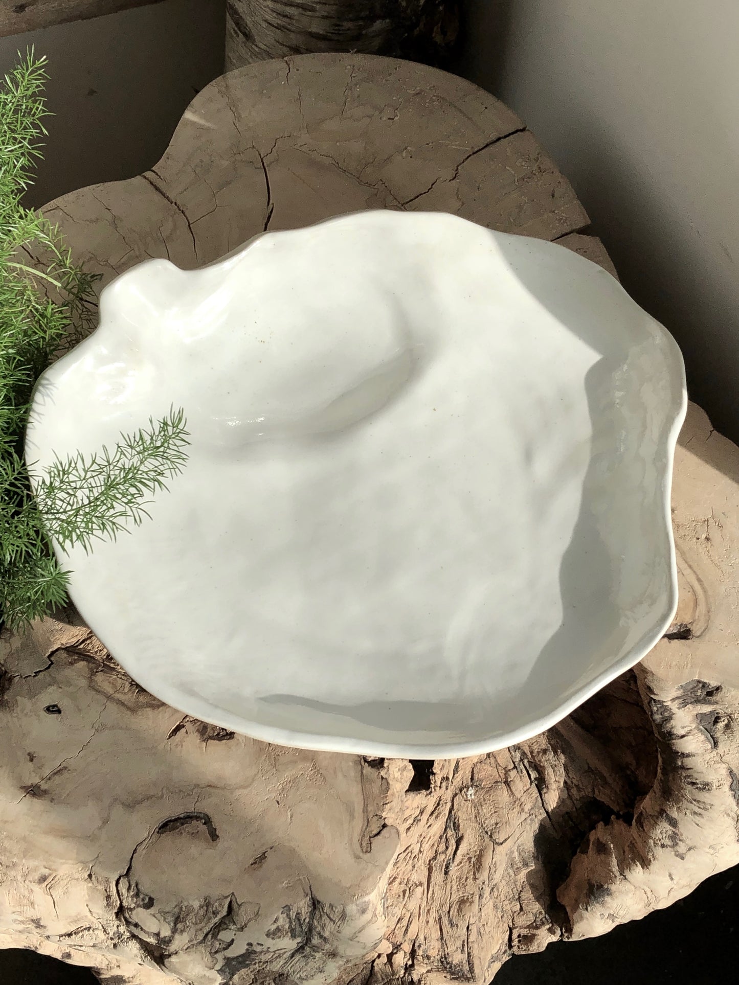 Ceramic Shell Bowl