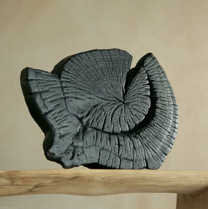 Black Ammonite Centre Piece