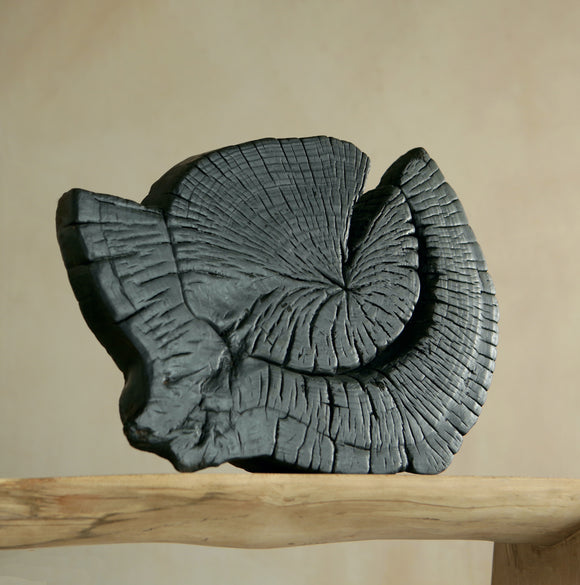 Black Ammonite Centre Piece