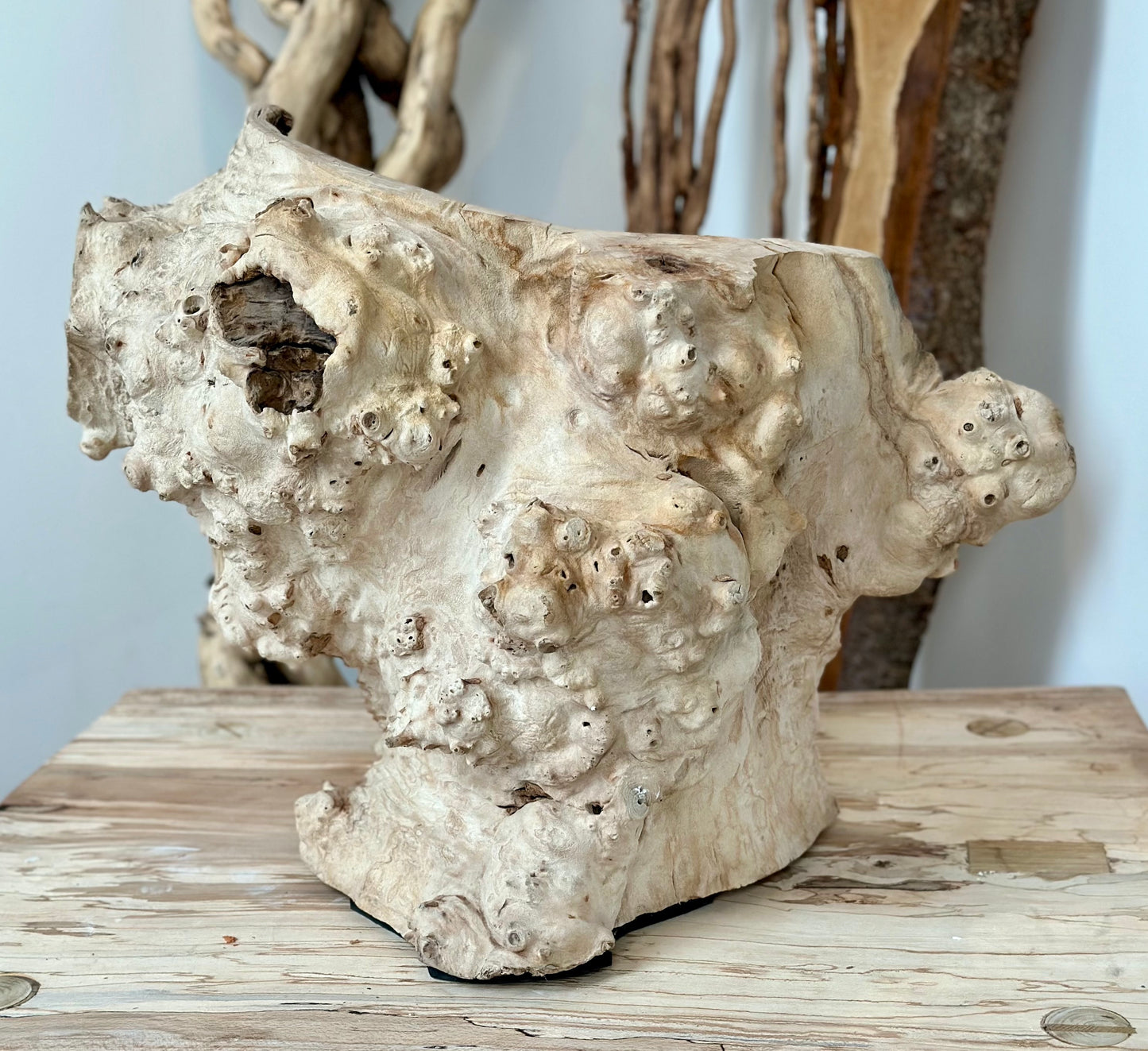 Desert rock centre piece and light