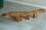 Burr Oak coffee table
