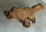 Burr Oak coffee table