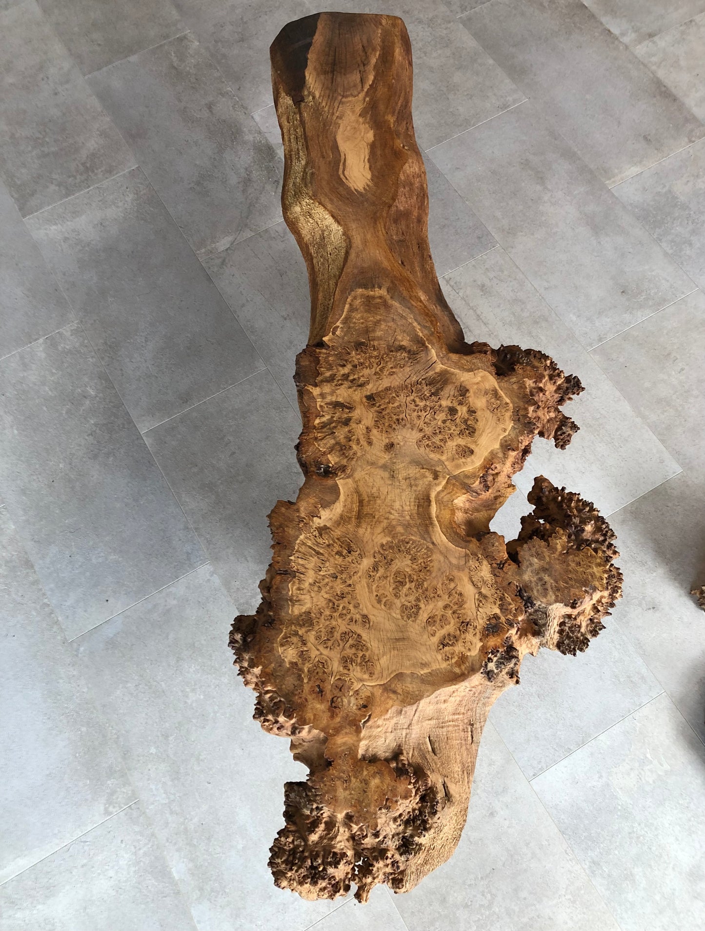 Burr Oak coffee table