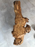 Burr Oak coffee table