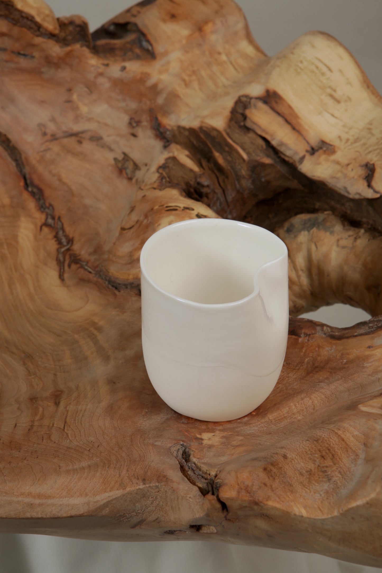 Fine Bone China Cup and Coffee Mug