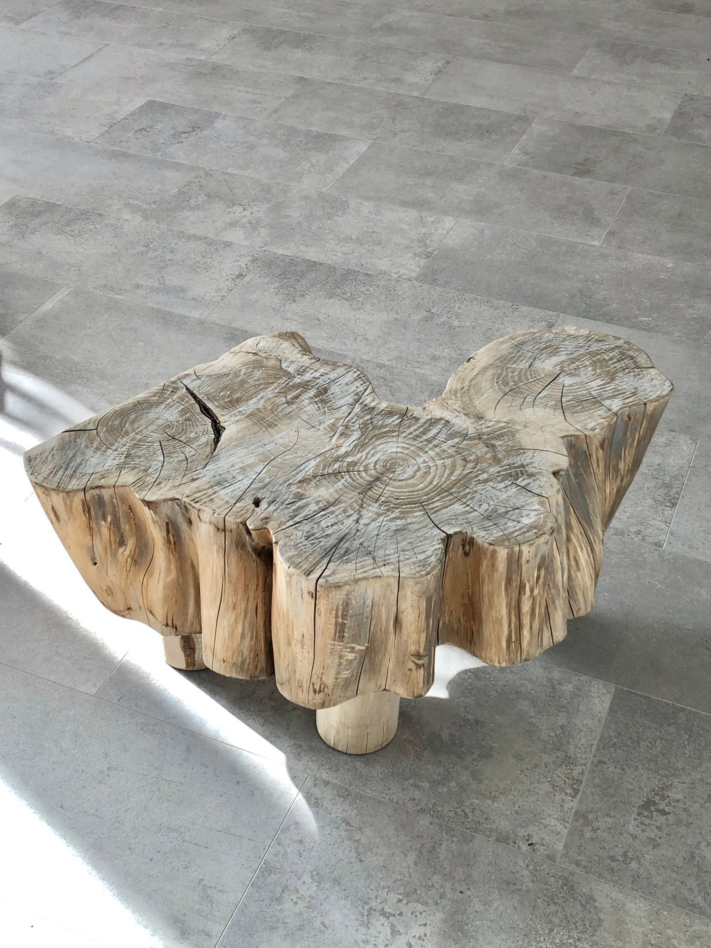 Organic Coffee Table