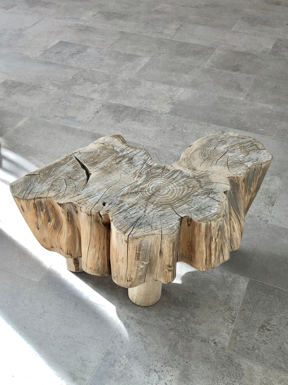 Organic Coffee Table