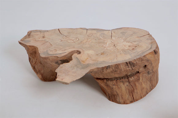 Spalted Coffee Table