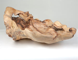 Sculpture Art Bowl
