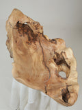 Sculpture Art Bowl