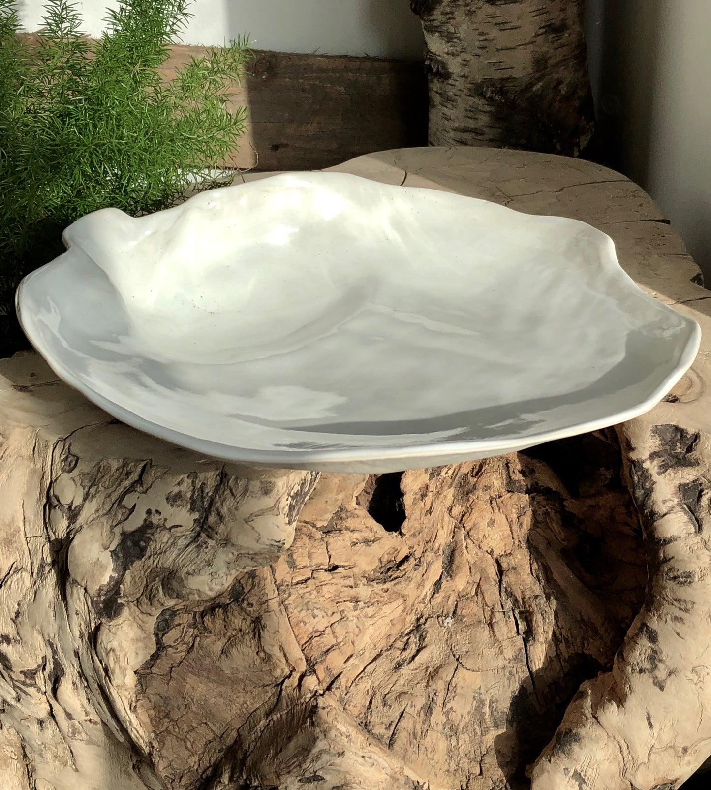 Ceramic Shell Bowl