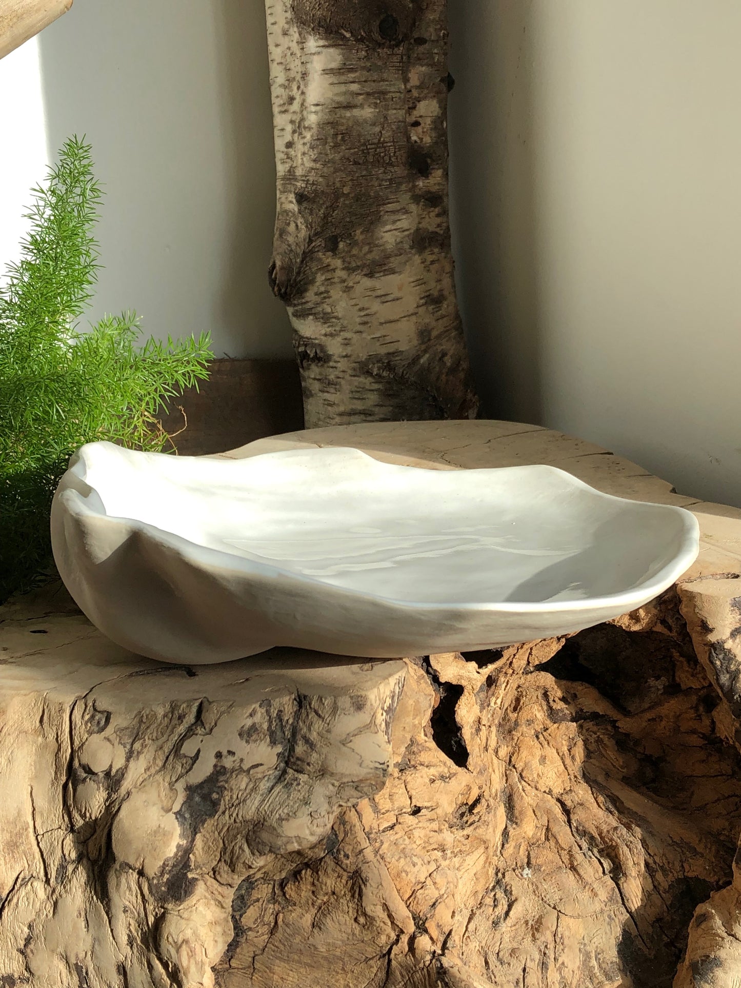 Ceramic Shell Bowl