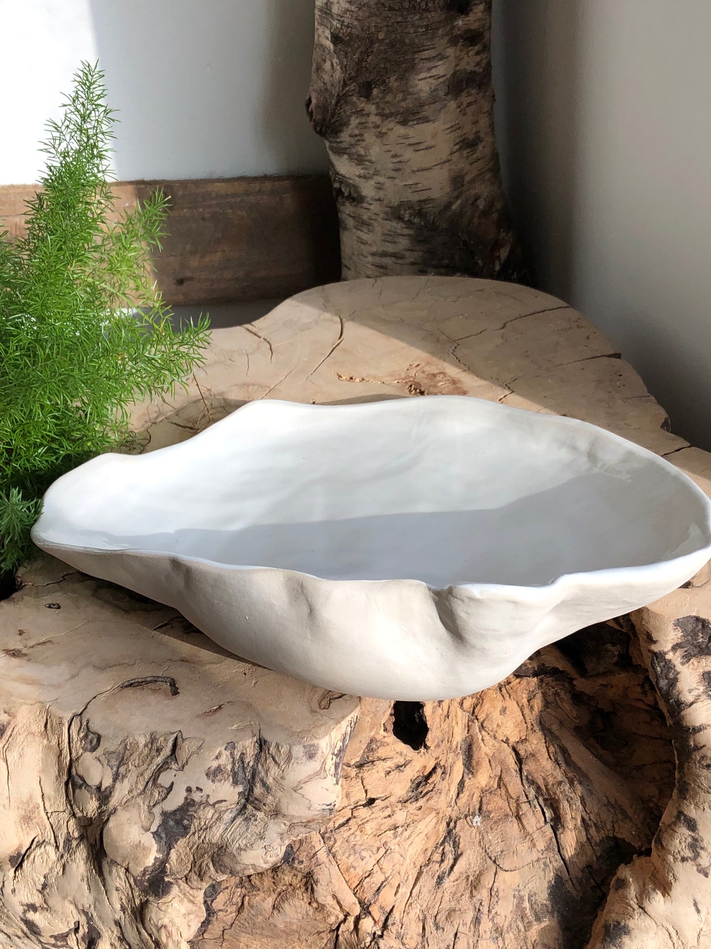 Ceramic Shell Bowl