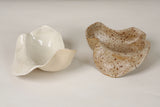 Ceramic Wild Set